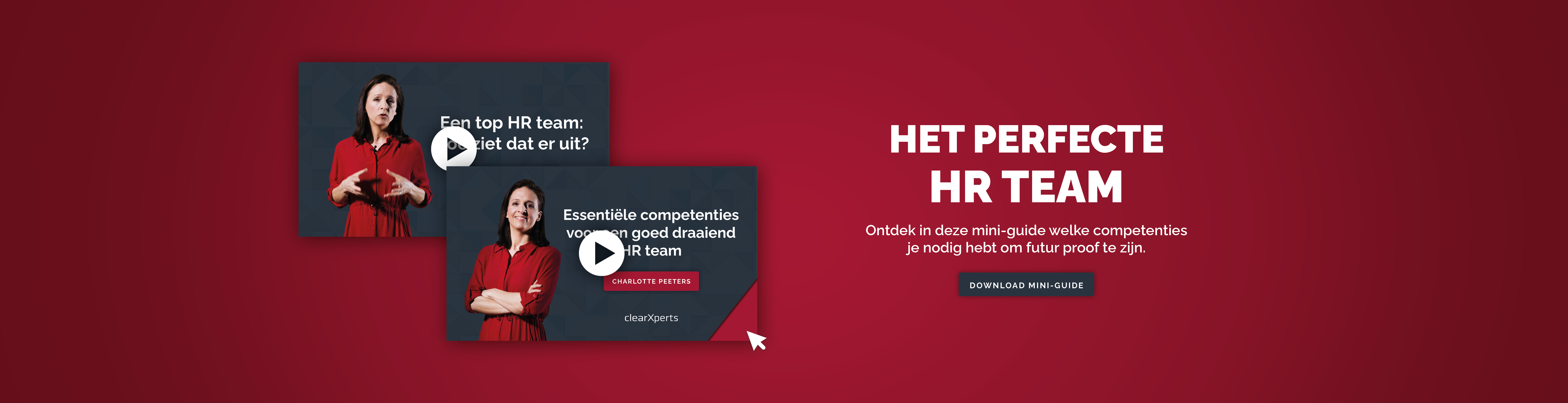 Banner Hubspot_Het perfect HR team